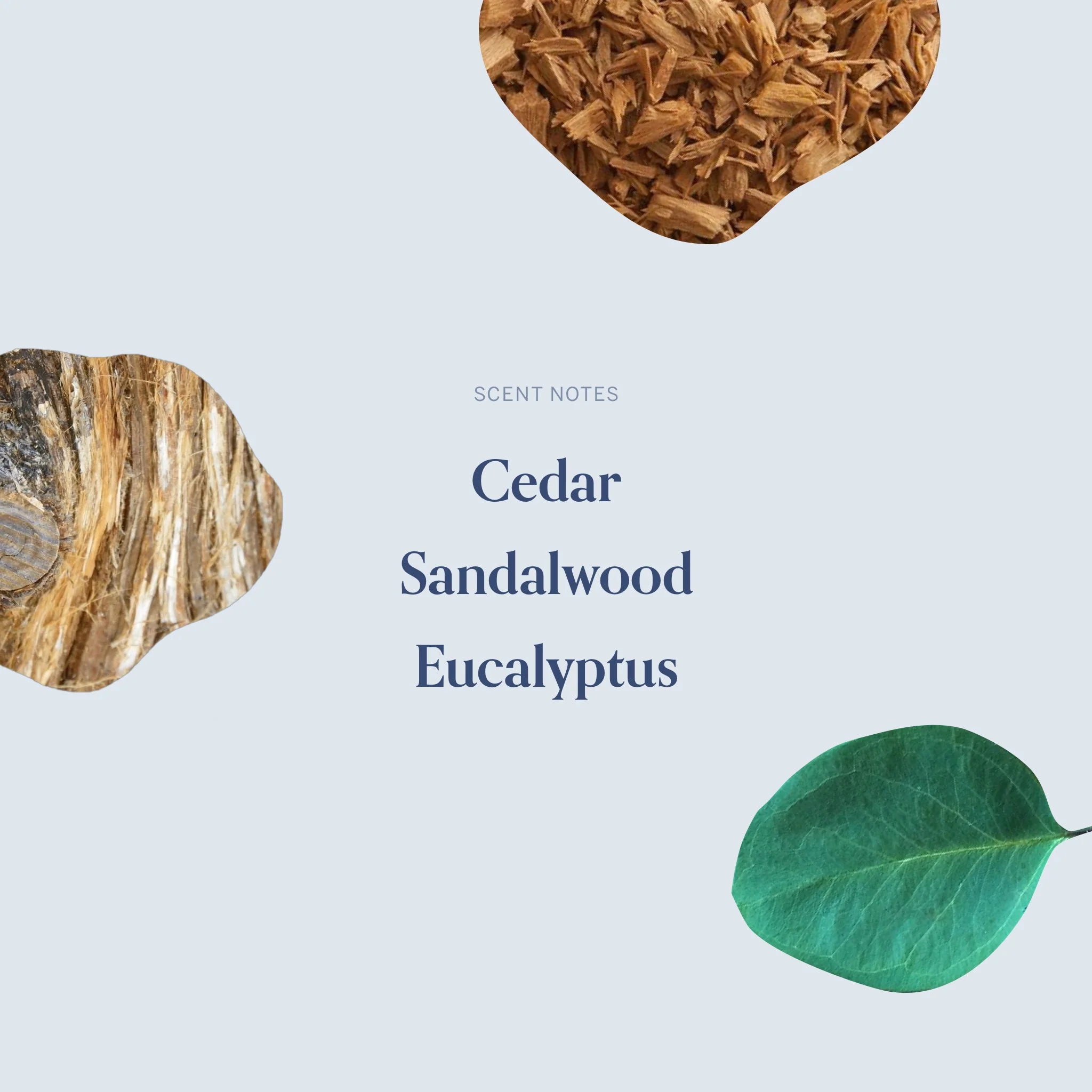 The April Twenty-Eighth Candle - Image 4