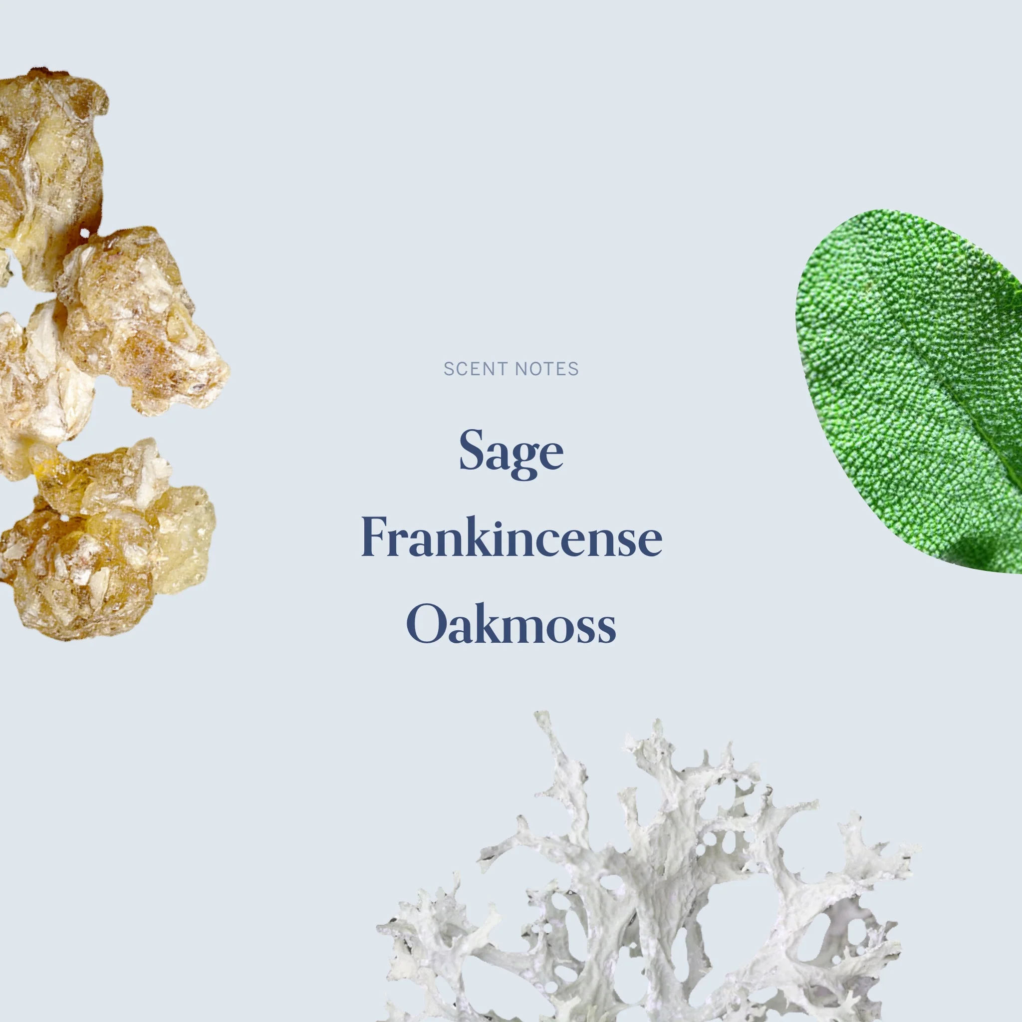 The December Twenty-Second Candle - Image 4